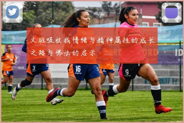 文班吸收我情绪与精神属性的成长之路与佛法的启示