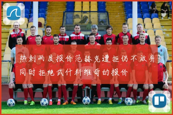 热刺两度报价范赫克遭拒仍不放弃同时拒绝武什科维奇的报价